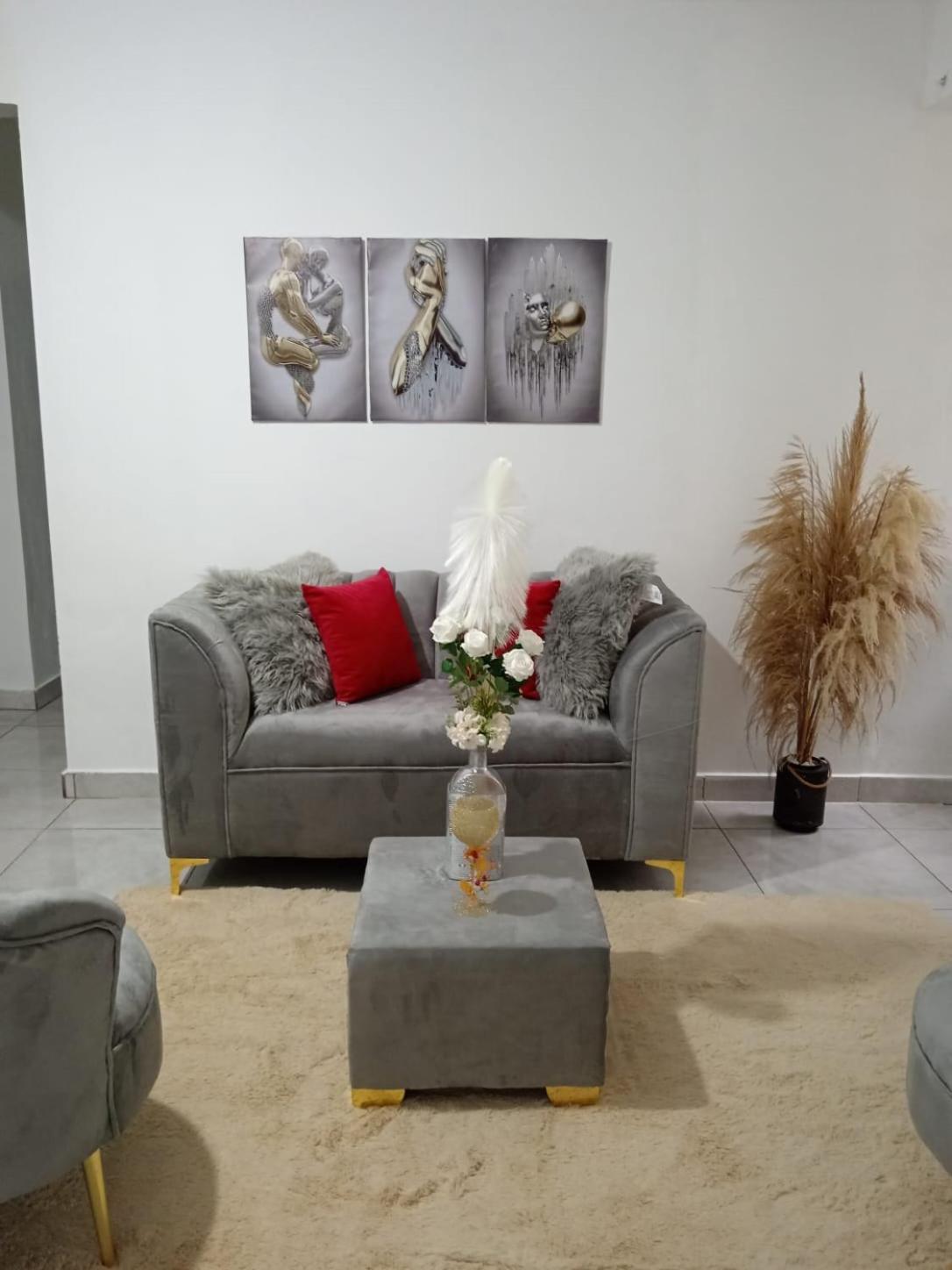 Apartamentos De 1 2 Y 3 Habitaciones Santiago De Los Caballeros Ngoại thất bức ảnh
