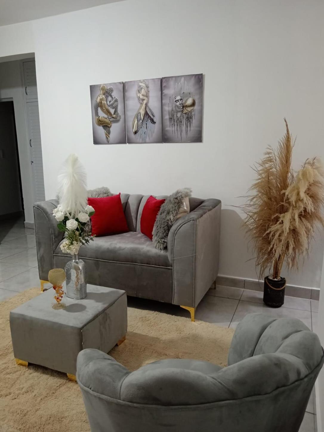 Apartamentos De 1 2 Y 3 Habitaciones Santiago De Los Caballeros Ngoại thất bức ảnh